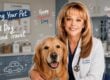 Memorial Day Pet Safety Tips: Your Guide to Stress-Free Travel with Pets
