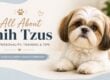 Shih Tzu Dog Breed Guide