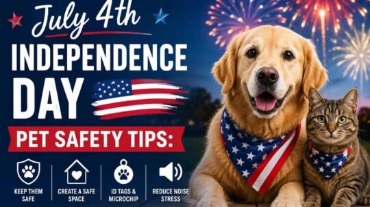 July 4th Independence Day Pet Safety Tips