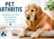Understanding Arthritis and Joint Pain in Dogs and Cats