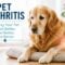 Understanding Arthritis and Joint Pain in Dogs and Cats
