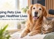 Helping Dogs and Cats Live Longer, Healthier Lives: Dr. Carol Osborne on The Schilling Show