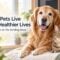 Helping Dogs and Cats Live Longer, Healthier Lives: Dr. Carol Osborne on The Schilling Show